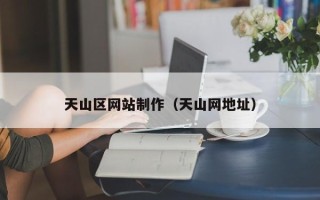 孝感天山区网站制作（天山网地址）